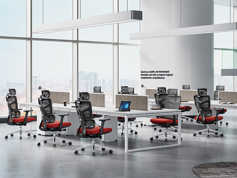 2203 renderings