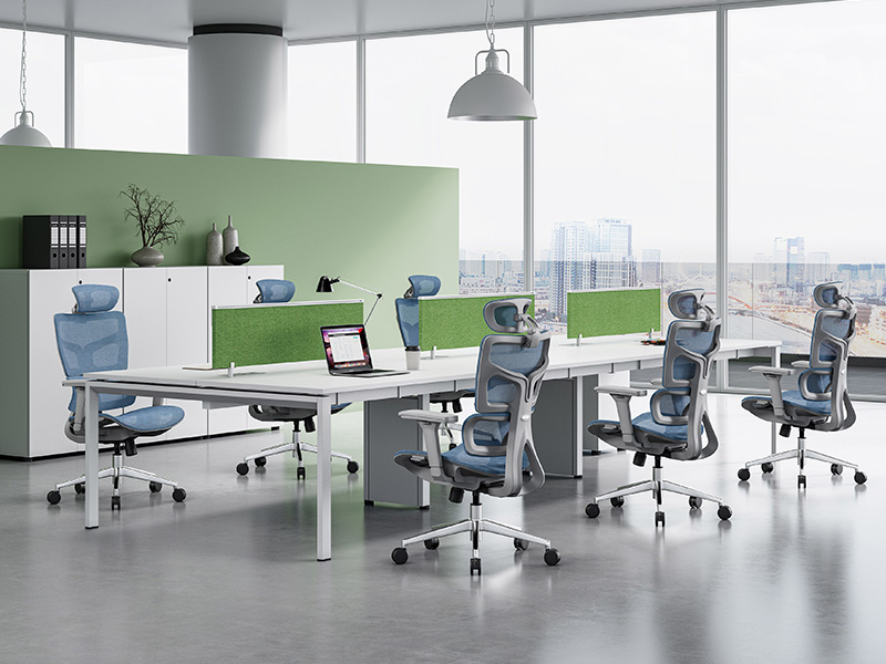 2203 renderings